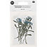 sweet alyssum - blue, 6/pkg.