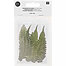 small fern - 8/pkg.