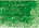 sap green